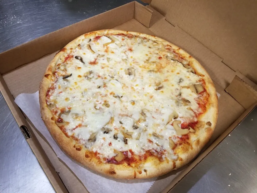 Extra Cheese Pizza